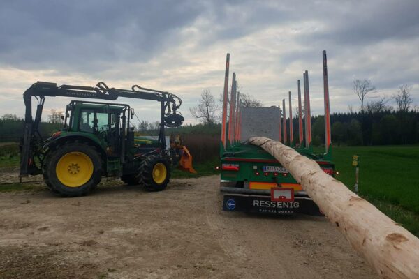 Forstbetrieb Trummer - Waldhelfer &amp; Forstwirtschaftsmeister in Allhaming