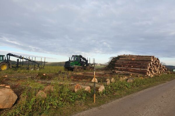 Forstbetrieb Trummer - Waldhelfer &amp; Forstwirtschaftsmeister in Allhaming