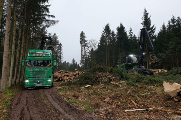 Forstbetrieb Trummer - Waldhelfer &amp; Forstwirtschaftsmeister in Allhaming