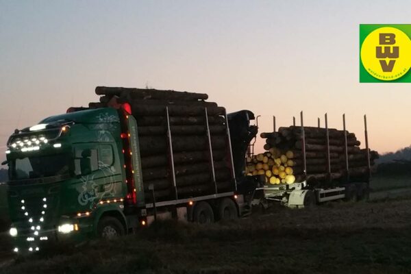 Forstbetrieb Trummer - Waldhelfer &amp; Forstwirtschaftsmeister in Allhaming