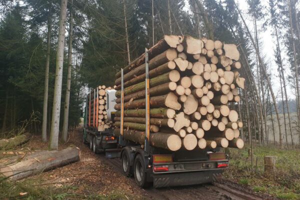 Forstbetrieb Trummer - Waldhelfer &amp; Forstwirtschaftsmeister in Allhaming
