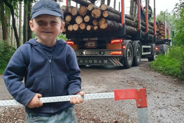 Forstbetrieb Trummer - Waldhelfer &amp; Forstwirtschaftsmeister in Allhaming