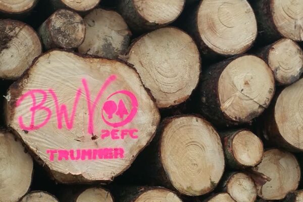 Forstbetrieb Trummer - Waldhelfer &amp; Forstwirtschaftsmeister in Allhaming