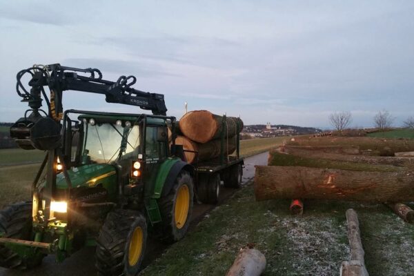 Forstbetrieb Trummer - Waldhelfer &amp; Forstwirtschaftsmeister in Allhaming