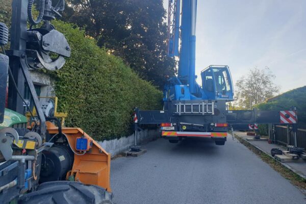 Forstbetrieb Trummer - Waldhelfer & Forstwirtschaftsmeister in Allhaming