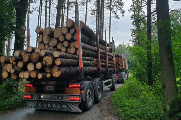 Forstbetrieb Trummer - Waldhelfer &amp; Forstwirtschaftsmeister in Allhaming