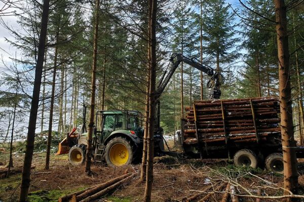 Forstbetrieb Trummer - Waldhelfer &amp; Forstwirtschaftsmeister in Allhaming