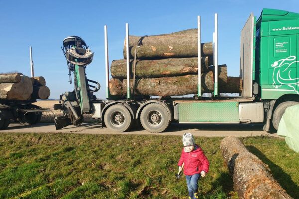 Forstbetrieb Trummer - Waldhelfer &amp; Forstwirtschaftsmeister in Allhaming