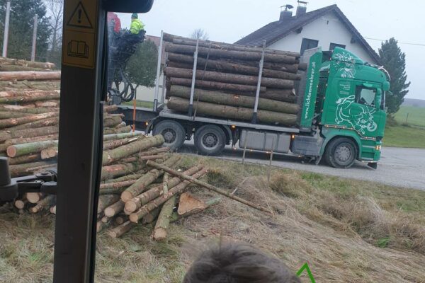Forstbetrieb Trummer - Waldhelfer &amp; Forstwirtschaftsmeister in Allhaming