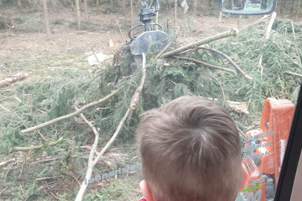 Forstbetrieb Trummer - Waldhelfer &amp; Forstwirtschaftsmeister in Allhaming