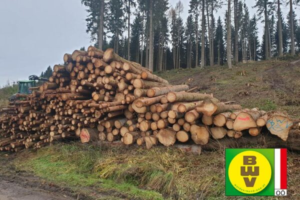 Forstbetrieb Trummer - Waldhelfer &amp; Forstwirtschaftsmeister in Allhaming