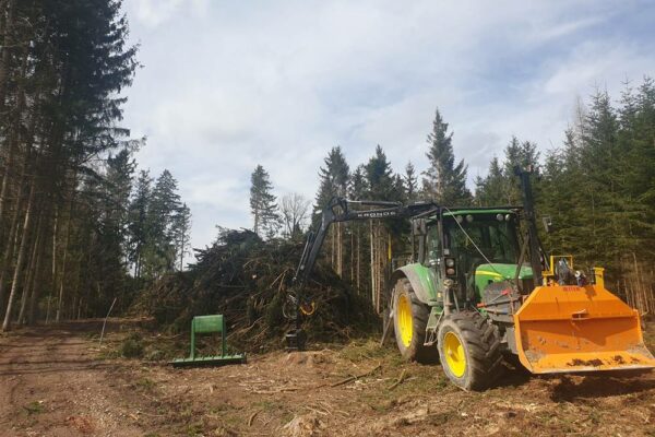 Forstbetrieb Trummer - Waldhelfer &amp; Forstwirtschaftsmeister in Allhaming