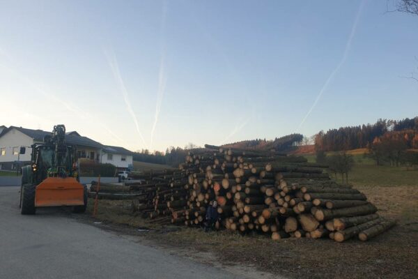 Forstbetrieb Trummer - Waldhelfer &amp; Forstwirtschaftsmeister in Allhaming