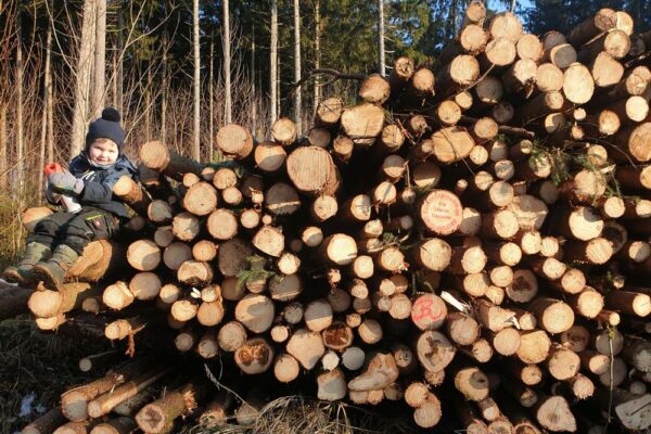 Forstbetrieb Trummer - Waldhelfer &amp; Forstwirtschaftsmeister in Allhaming