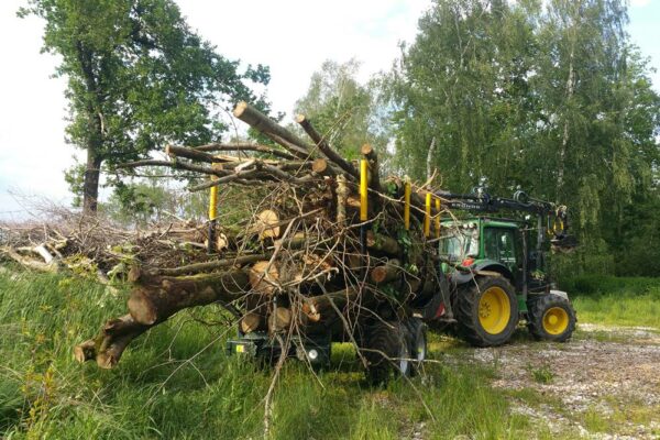 Forstbetrieb Trummer - Waldhelfer &amp; Forstwirtschaftsmeister in Allhaming