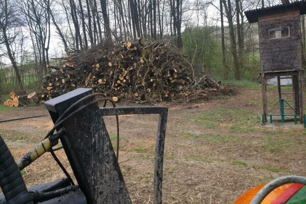 Forstbetrieb Trummer - Waldhelfer &amp; Forstwirtschaftsmeister in Allhaming