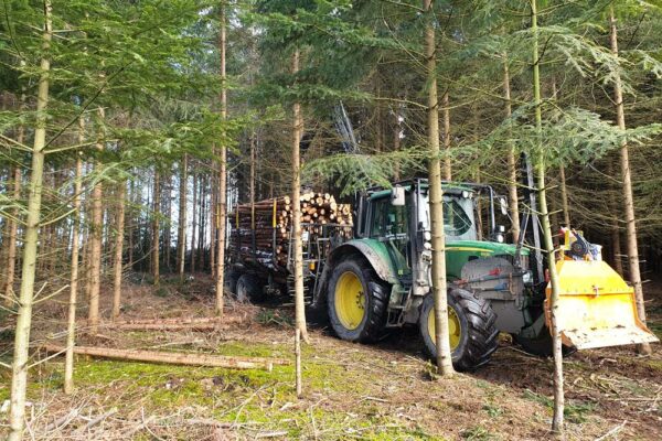 Forstbetrieb Trummer - Waldhelfer &amp; Forstwirtschaftsmeister in Allhaming