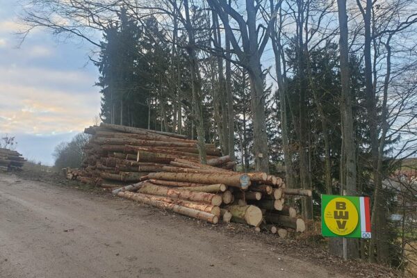 Forstbetrieb Trummer - Waldhelfer &amp; Forstwirtschaftsmeister in Allhaming