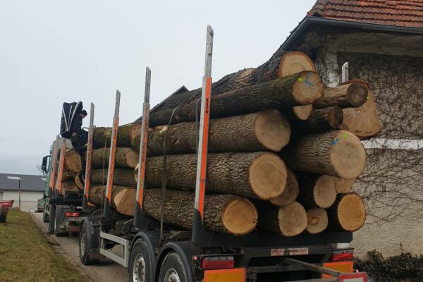 Forstbetrieb Trummer - Waldhelfer &amp; Forstwirtschaftsmeister in Allhaming