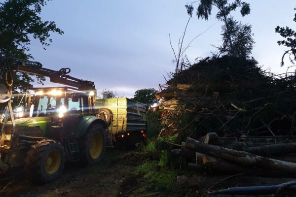 Forstbetrieb Trummer - Waldhelfer &amp; Forstwirtschaftsmeister in Allhaming