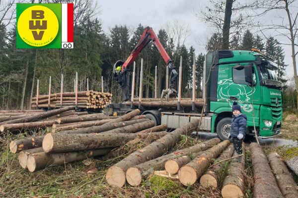 Forstbetrieb Trummer - Waldhelfer &amp; Forstwirtschaftsmeister in Allhaming