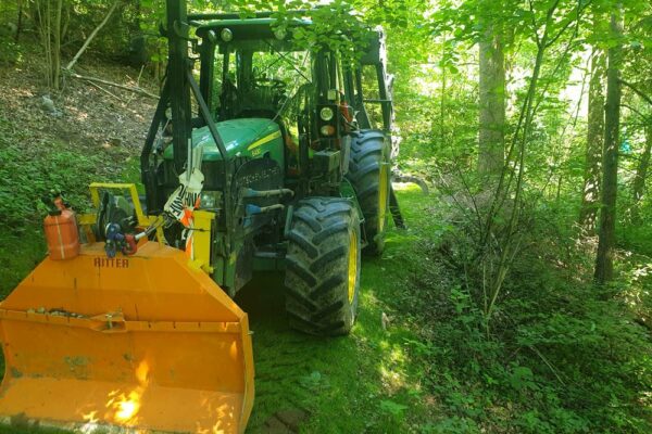 Forstbetrieb Trummer - Waldhelfer &amp; Forstwirtschaftsmeister in Allhaming