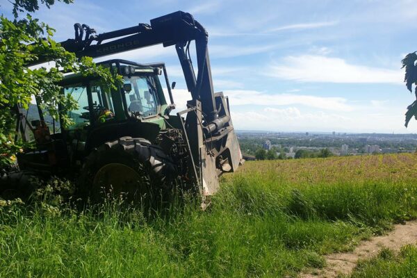 Forstbetrieb Trummer - Waldhelfer &amp; Forstwirtschaftsmeister in Allhaming