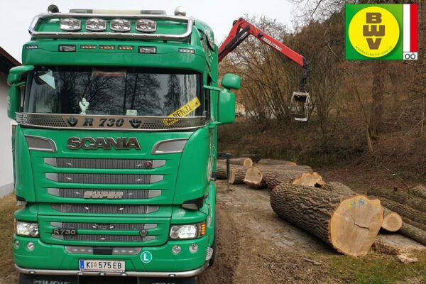 Forstbetrieb Trummer - Waldhelfer &amp; Forstwirtschaftsmeister in Allhaming