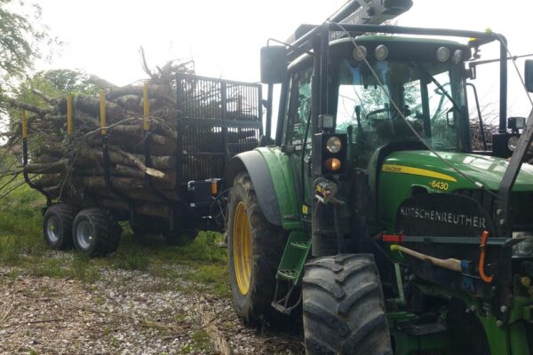 Forstbetrieb Trummer - Waldhelfer &amp; Forstwirtschaftsmeister in Allhaming