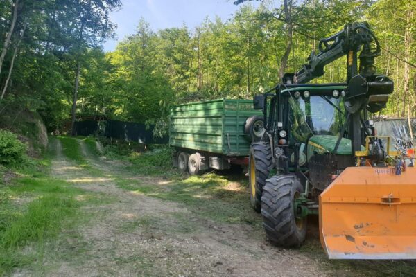 Forstbetrieb Trummer - Waldhelfer &amp; Forstwirtschaftsmeister in Allhaming