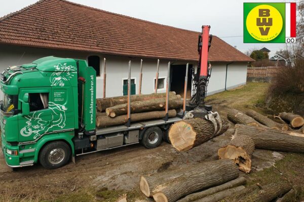 Forstbetrieb Trummer - Waldhelfer &amp; Forstwirtschaftsmeister in Allhaming