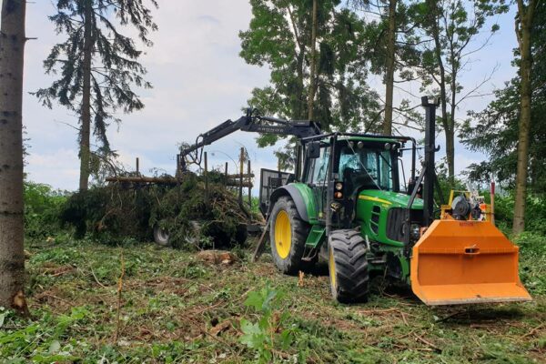 Forstbetrieb Trummer - Waldhelfer &amp; Forstwirtschaftsmeister in Allhaming