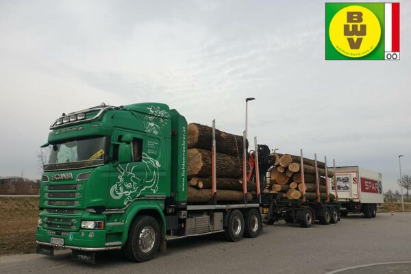 Forstbetrieb Trummer - Waldhelfer &amp; Forstwirtschaftsmeister in Allhaming