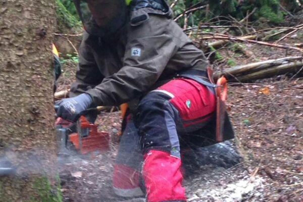 Forstbetrieb Trummer - Waldhelfer &amp; Forstwirtschaftsmeister in Allhaming