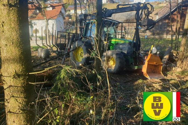 Forstbetrieb Trummer - Waldhelfer &amp; Forstwirtschaftsmeister in Allhaming