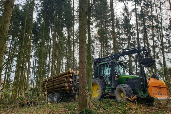 Forstbetrieb Trummer - Waldhelfer &amp; Forstwirtschaftsmeister in Allhaming