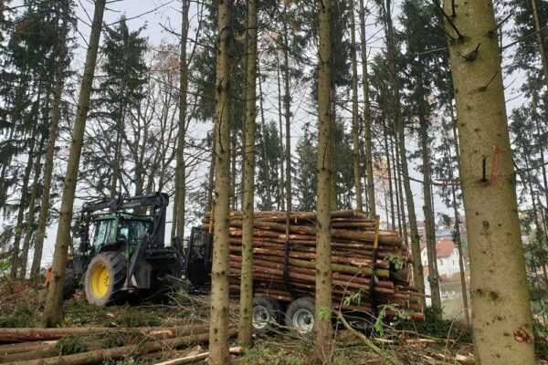 Forstbetrieb Trummer - Waldhelfer &amp; Forstwirtschaftsmeister in Allhaming
