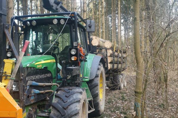 Forstbetrieb Trummer - Waldhelfer &amp; Forstwirtschaftsmeister in Allhaming