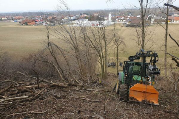 Forstbetrieb Trummer - Waldhelfer &amp; Forstwirtschaftsmeister in Allhaming