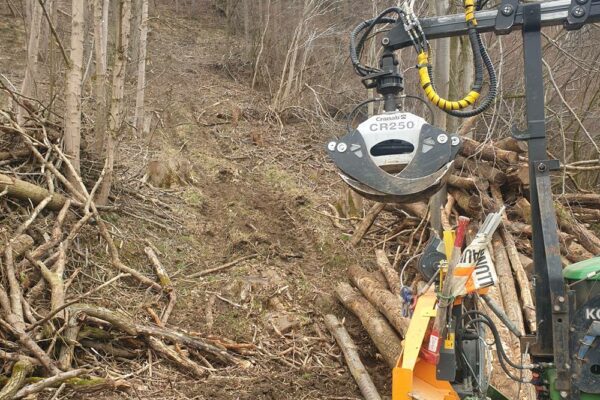 Forstbetrieb Trummer - Waldhelfer &amp; Forstwirtschaftsmeister in Allhaming