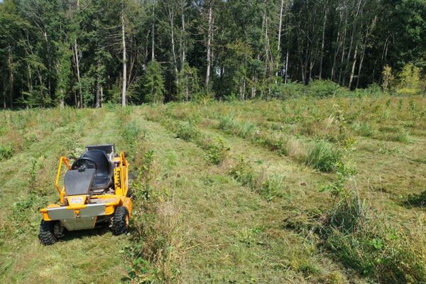 Forstbetrieb Trummer - Waldhelfer &amp; Forstwirtschaftsmeister in Allhaming