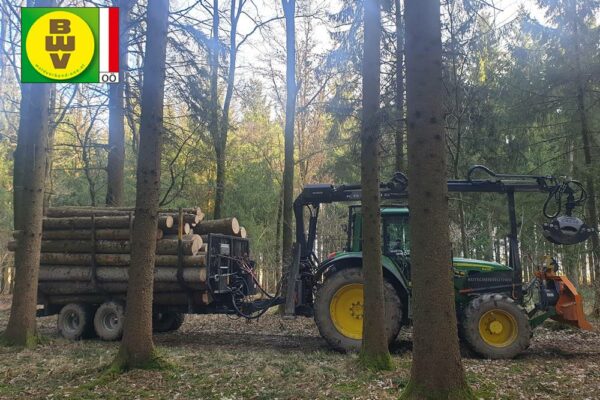 Forstbetrieb Trummer - Waldhelfer &amp; Forstwirtschaftsmeister in Allhaming