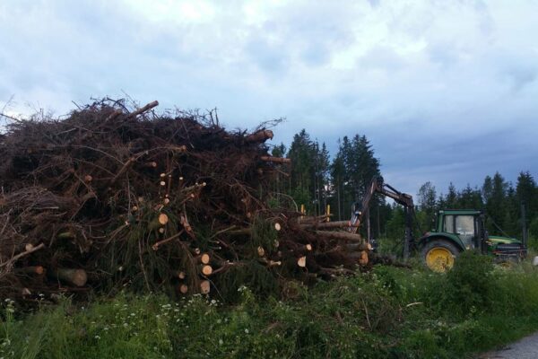 Forstbetrieb Trummer - Waldhelfer &amp; Forstwirtschaftsmeister in Allhaming